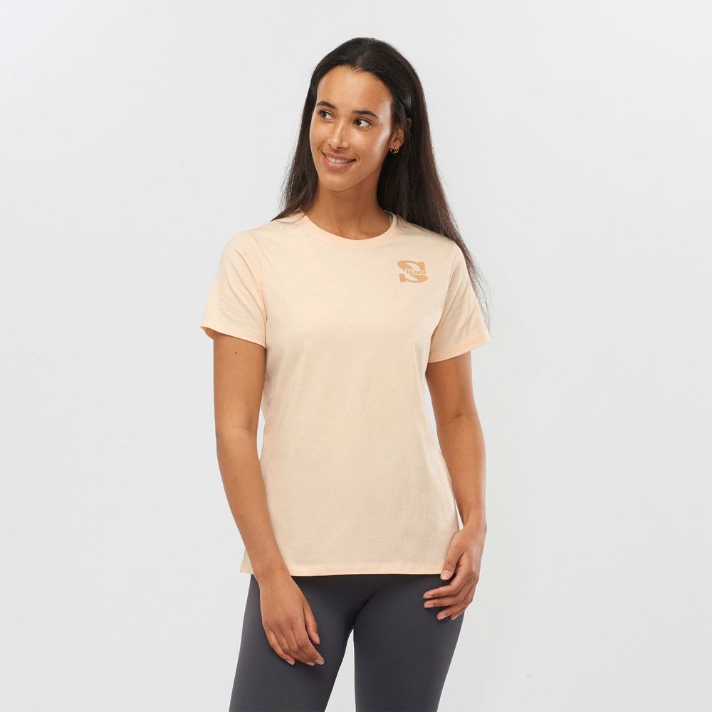 Salomon Israel OUTLIFE SMALL LOGO SS W - Womens T shirts - Khaki (YBLM-84701)